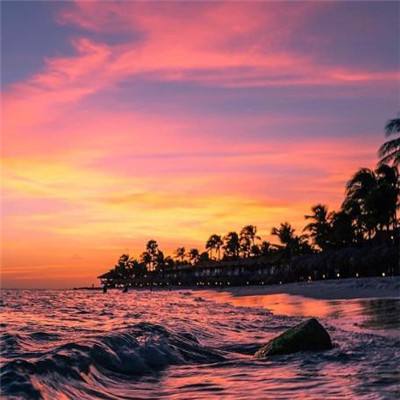 b体育官方app下载手机app下载截图